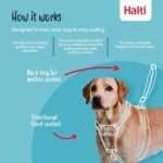 Halti No Pull Harness - Stop Your Dog Pulling on the Leash. Adjustable, Lightweight and Easy to Use. Reflective Dog Training Harness for Medium Dogs (Size M, Black) - Image 3