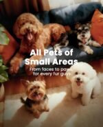 oneisall Dog Clippers with Double Blades,Cordless Small Pet Hair Grooming Trimmer,Low Noise for Trimming Dog's Hair Around Paws, Eyes, Ears, Face, Rump (White) - Image 8