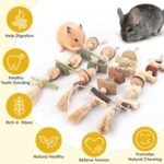 4 Pcs Bunny Chew Toys for Teeth, Hanging Rabbit Chewing Toy Treats with Timothy Grass & Natural Apple Wood, Improve Small Rodent Dental Health for Guinea Pig Hamster Chinchilla Rat Gerbil - Image 5