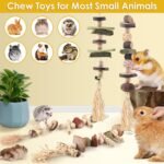 4 Pcs Bunny Chew Toys for Teeth, Hanging Rabbit Chewing Toy Treats with Timothy Grass & Natural Apple Wood, Improve Small Rodent Dental Health for Guinea Pig Hamster Chinchilla Rat Gerbil - Image 6