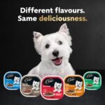 CESAR Classic Loaf in Sauce Adult Wet Dog Food Variety Pack, with 8 Grilled Chicken Flavour, 8 NY Strip Flavour & 8 Lamb Recipe, 24x100g Trays - Image 4