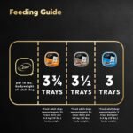 CESAR Classic Loaf in Sauce Adult Wet Dog Food Variety Pack, with 8 Grilled Chicken Flavour, 8 NY Strip Flavour & 8 Lamb Recipe, 24x100g Trays - Image 9