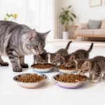 8 Pack Stainless Steel Cat Bowls, Cat Dishes Whisker Friendly with Non-Slip Silicone Bottom, Easy to Clean, 5.5" Shallow Wide Cat Food and Water Feeding Bowl for Indoor Outdoor Cats, Kitten - Image 8