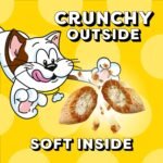 TEMPTATIONS Cat Treats, Tasty Chicken Flavour, 454g Tub - Image 5