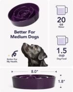 LE TAUCI Dog Bowls Slow Feeder Ceramic, 1.5 Cups Slow Feeding Dog Bowl Small Medium Breed, Puppy Slow Feeder Bowl for Fast Eater, Dog Dishes to Slow Down Eating, Puzzle Dog Food Bowl, Maze Purple - Image 6