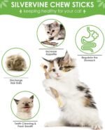 Silvervine Cat Chew Sticks with Natural Feather, 12 Pack Catnip Chew Toys for Kittens Teeth Cleaning, Matatabi Dental Care, Increase Appetite, Aggressive Chewers Cat Dental Toy - Image 3