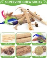 Silvervine Cat Chew Sticks with Natural Feather, 12 Pack Catnip Chew Toys for Kittens Teeth Cleaning, Matatabi Dental Care, Increase Appetite, Aggressive Chewers Cat Dental Toy - Image 4