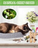 Silvervine Cat Chew Sticks with Natural Feather, 12 Pack Catnip Chew Toys for Kittens Teeth Cleaning, Matatabi Dental Care, Increase Appetite, Aggressive Chewers Cat Dental Toy - Image 7