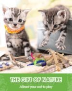 Silvervine Cat Chew Sticks with Natural Feather, 12 Pack Catnip Chew Toys for Kittens Teeth Cleaning, Matatabi Dental Care, Increase Appetite, Aggressive Chewers Cat Dental Toy - Image 8