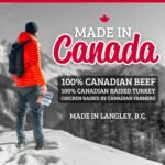 McSweeney's Original Beef Steak Strips Box. 100% Made in Canada, Naturally Smoked, High Protein Snacks, Gluten Free, Meat Snacks, Shelf Stable, Bulk Case 28g (Pack of 12) - Image 9