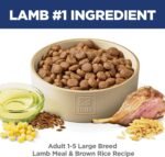 Hill's Science Diet Adult Large Breed Lamb Meal & Brown Rice Recipe Dry Dog Food 14.9 kg Bag - Image 7
