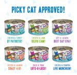 Weruva B.F.F. OMG - Best Feline Friend Oh My Gravy!, Variety Pack, Rainbow Road, Wet Cat Food by, 2.8Oz Cans (Pack of 12) - Image 6