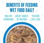 Weruva B.F.F. OMG - Best Feline Friend Oh My Gravy!, Variety Pack, Rainbow Road, Wet Cat Food by, 2.8Oz Cans (Pack of 12) - Image 7