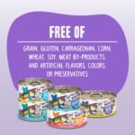 Weruva B.F.F. OMG - Best Feline Friend Oh My Gravy!, Variety Pack, Rainbow Road, Wet Cat Food by, 2.8Oz Cans (Pack of 12) - Image 8