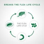 Advantage II Flea Treatment for Kittens weighing less than 2.3 kg (less than 5 lbs.) - 4 doses - Image 5