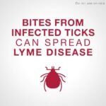 K9 Advantix II Flea and Tick Treatment for Extra Large Dogs weighing over 25 kg (over 55 lbs.)-6 doses - Image 5