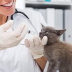 Large Plastic Syringe with Tube 60ml & 20ml with 13inch Tubing for Scientific Labs, Measuring, Watering, Refilling, Filtration, Feeding Pets, Oil or Glue Applicator, 4pcs - Image 6