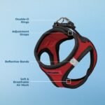 Voyager Step-In Air Dog Harness-All Weather Mesh Step in Vest Harness for Small and Medium Dogs by Best Pet Supplies-Red Base, M - Image 4