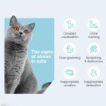 Vetoquinol Zylkene Plus – Veterinary Health Product – Promoting Calm and Relaxed Behaviour in Pets During Stressful Periods (75 mg) - Image 5