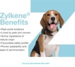 Vetoquinol Zylkene Plus – Veterinary Health Product – Promoting Calm and Relaxed Behaviour in Pets During Stressful Periods (75 mg) - Image 7
