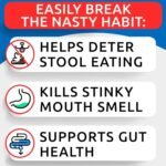 No Poo Chews for Dogs - Coprophagia & Stool Eating Deterrent with Probiotics, Digestive Enzymes & Breath Aid Support - Stop Dog Poop Eating - 120 Soft Chews - Image 3