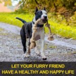 Fida Dog Rope Toys for Large/Medium Aggressive Chewers, Tough Cotton Chew Toy, 3 Feet 5 Knots Indestructible, Tug of War Dog Pull Rope Teeth Cleaning - Image 5