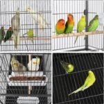 Yaheetech 52-inch Wrought Iron Standing Large Flight King Bird Cage for Cockatiels African Grey Quaker Amazon Sun Parakeets Green Cheek Conures Pigeons Parrot Bird Cage Birdcage with Stand - Image 5