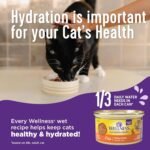 Wellness Complete Health Natural Canned Grain Free Wet Cat Food, Beef & Chicken Pate, 3-Ounce Can (Pack of 24) - Image 4
