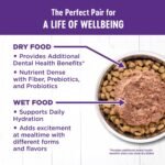 Wellness Complete Health Natural Canned Grain Free Wet Cat Food, Beef & Chicken Pate, 3-Ounce Can (Pack of 24) - Image 6