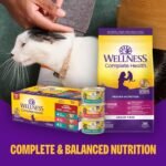Wellness Complete Health Natural Canned Grain Free Wet Cat Food, Beef & Chicken Pate, 3-Ounce Can (Pack of 24) - Image 9
