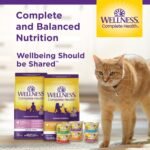 Wellness Complete Health Natural Canned Grain Free Wet Cat Food, Beef & Chicken Pate, 3-Ounce Can (Pack of 24) - Image 10