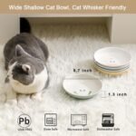 Ceramic Cat Bowls Set - 5.5 inch Wide Cat Food Bowls Whisker Fatigue Friendly, 5 Colorful Kitten Dish Plates with Cute Pattern for Wet and Dry Food Water - Image 4