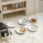 Ceramic Cat Bowls Set - 5.5 inch Wide Cat Food Bowls Whisker Fatigue Friendly, 5 Colorful Kitten Dish Plates with Cute Pattern for Wet and Dry Food Water - Image 6