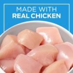 Cat Chow Indoor Dry Cat Food, Real Chicken - 8 kg Bag - Image 5