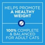 Cat Chow Indoor Dry Cat Food, Real Chicken - 8 kg Bag - Image 6