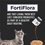 Purina Pro Plan Veterinary Supplements Fortiflora Powdered Cat Probiotics - 30 g sachets (Pack of 30) - Image 6