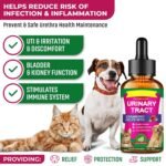 Urinary Tract Infection Treatment for Dog & Cat, Natural Cranberry UTI Supplement, Kidney and Bladder Support (60ml (1pcs)) - Image 4