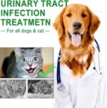 Urinary Tract Infection Treatment for Dog & Cat, Natural Cranberry UTI Supplement, Kidney and Bladder Support (60ml (1pcs)) - Image 6
