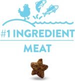 Shameless Pets Catnip N' Chill Crunchy Cat Treats, Soft Treats, Dry Food for Cats for Digestion, Chicken Flavored - Image 5