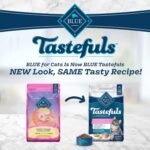 Blue Buffalo Sensitive Stomach Natural Adult Dry Cat Food, Chicken and Brown Rice 6.8kg Bag - Image 3