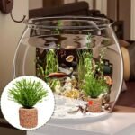 Aquarium Plant Holder Rings 30 Pcs – 2.5x2.5cm Ceramic Water Plant Anchors with 1.2cm Inner Diameter, Round Shape, Heavy Base – Aquatic Fastener for Tanks, Shrimp Tanks, Hydroponics - Image 3