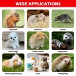 Squirrel Traps - Foldable Heavy Duty Humane Live Animal Cage Trap for Squirrels Rabbit, Rat, Vole, Skunk, Chipmunk Groundhog Possum & Small Cat - Image 6