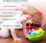 BEST LEARNING Mushroom Garden - Interactive Educational Light-Up Toddler Toys for 1 to 3 Years Old Infants & Toddlers - Colors, Numbers, Games & Music for Kids - Image 5