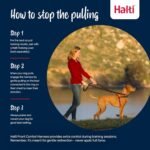 Halti Front Control Harness, Medium - Image 5