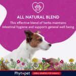 Phytopet Wormwood Complex | 30ml | 100% Natural Herbal Remedy | Supports Intestinal Hygiene, Worms and Parasites | for Dogs, Cats, Birds, Horses, Pets - Image 4