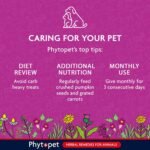 Phytopet Wormwood Complex | 30ml | 100% Natural Herbal Remedy | Supports Intestinal Hygiene, Worms and Parasites | for Dogs, Cats, Birds, Horses, Pets - Image 7