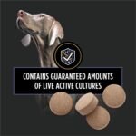 Purina Pro Plan Veterinary Supplements, Dog Probiotic Tablets - 158 g (90 Tablets) - Image 6