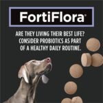 Purina Pro Plan Veterinary Supplements, Dog Probiotic Tablets - 158 g (90 Tablets) - Image 8