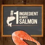 Merrick Power Bites Salmon Recipe Treats, 170 g (Pack of 1) - Image 3
