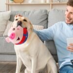 Livun Active Moving Pet Plush Toy, Interactive Dog Toy Pet Bouncing Balls, Moving Dog Ball Plush Toy Talking Moving Dog Toy Dog Pet Toy Shake Bounce Boredom Toys for Pets, Cats (Blue Pig) - Image 4